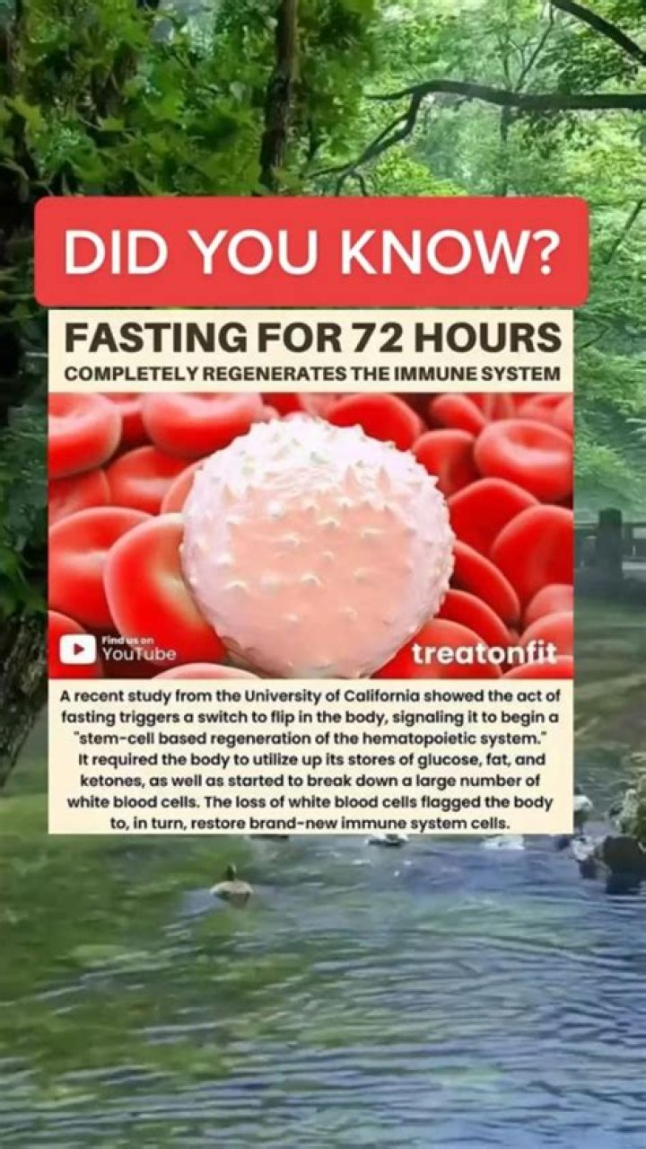 What happens if you fast for 72 hours?