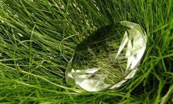 What happens if you find diamonds on your property?