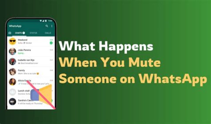 What happens if you mute someone on Signal?