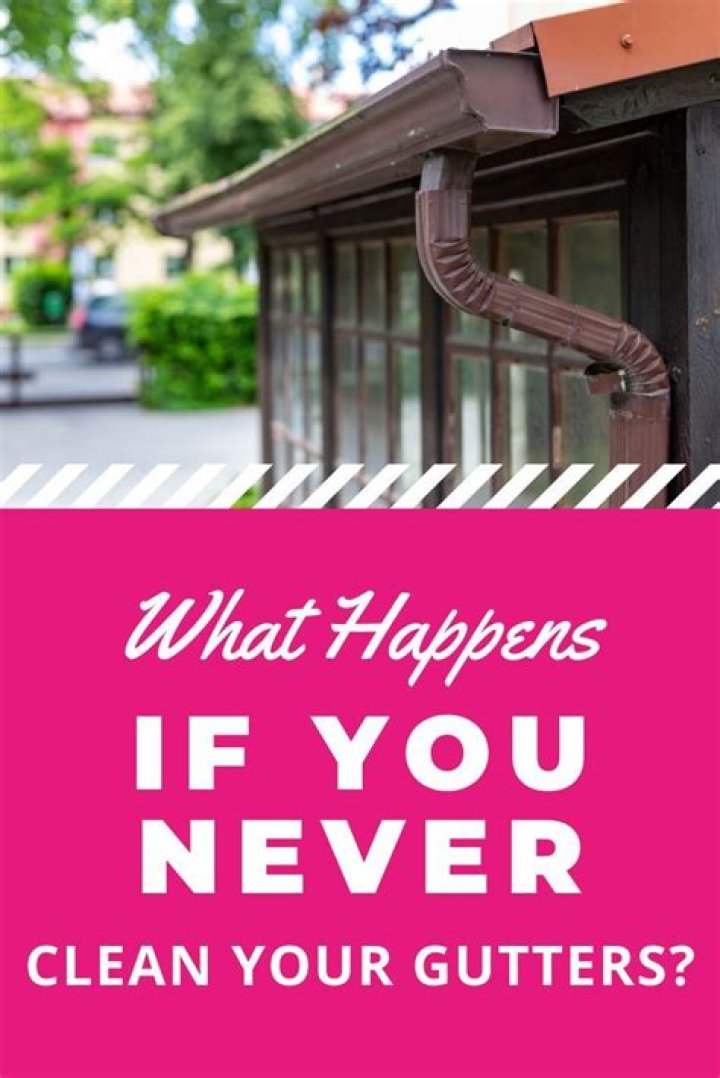 What happens if you never clean your gutters?