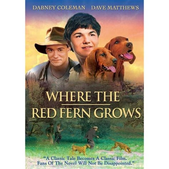 What happens in Chapter 20 of Where the Red Fern Grows?