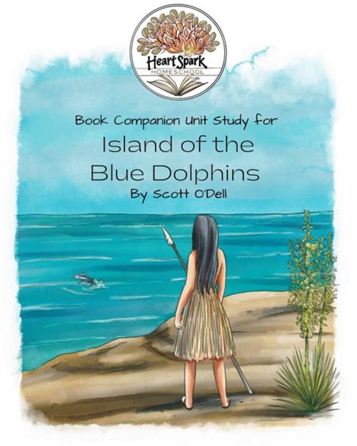 What happens in Chapter 24 in Island of the Blue Dolphins?