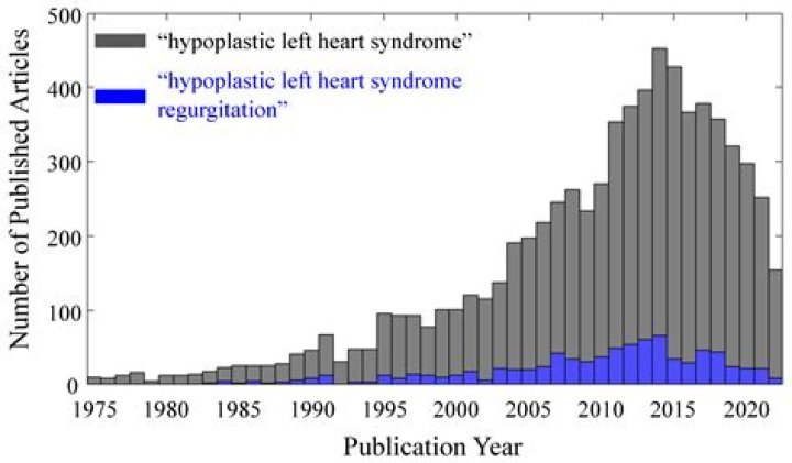 What happens to a patient who has Cotard's syndrome?