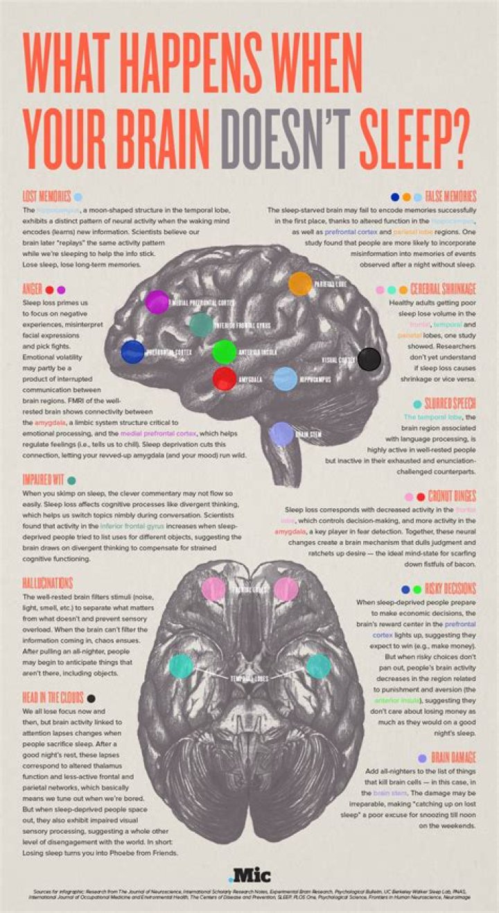 What happens to your brain when you watch TV?