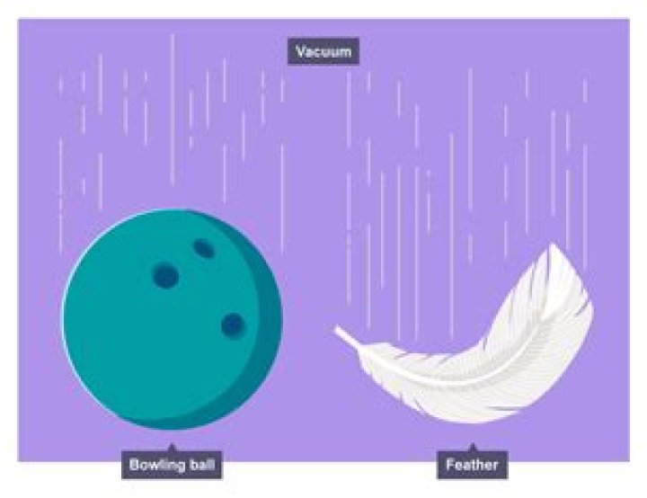 What happens when a feather and bowling ball are dropped at the same time in a void container?