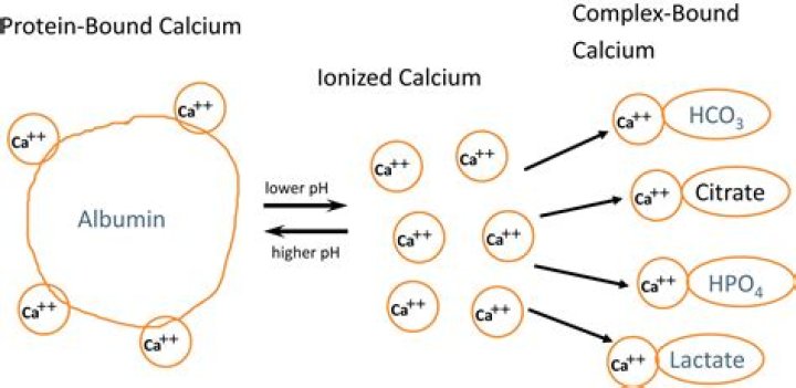 What happens when calcium is exposed to air?