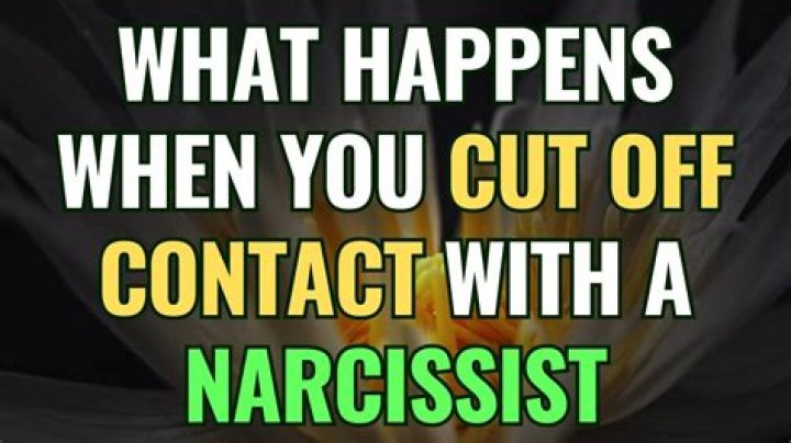 What happens when you cut off contact with a narcissist?