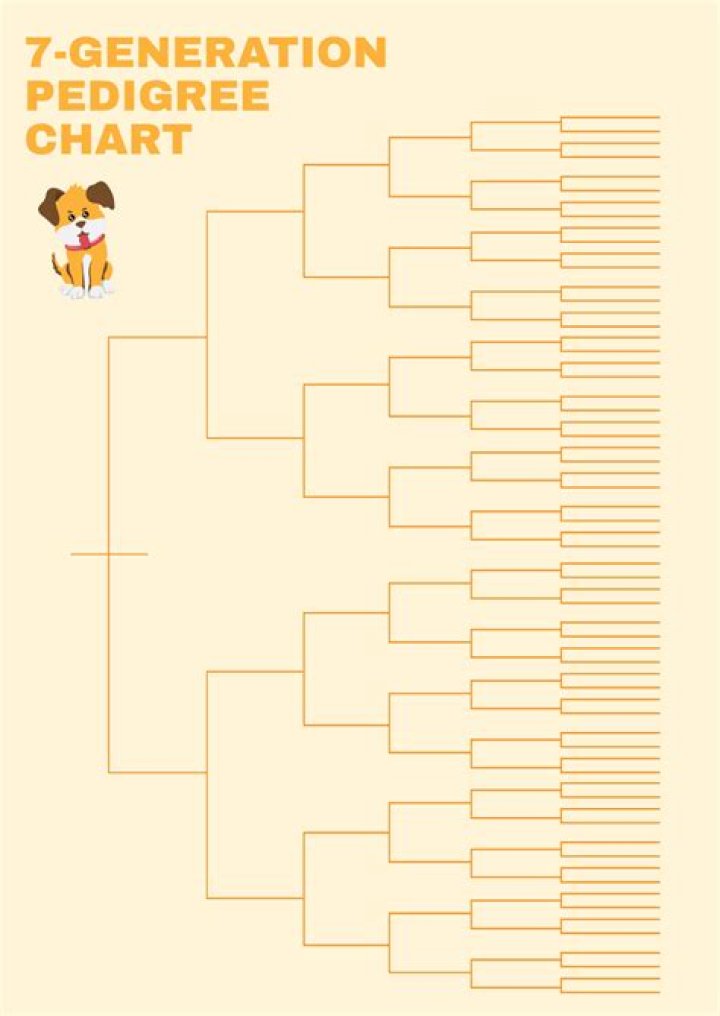 What is a 7 generation pedigree package?
