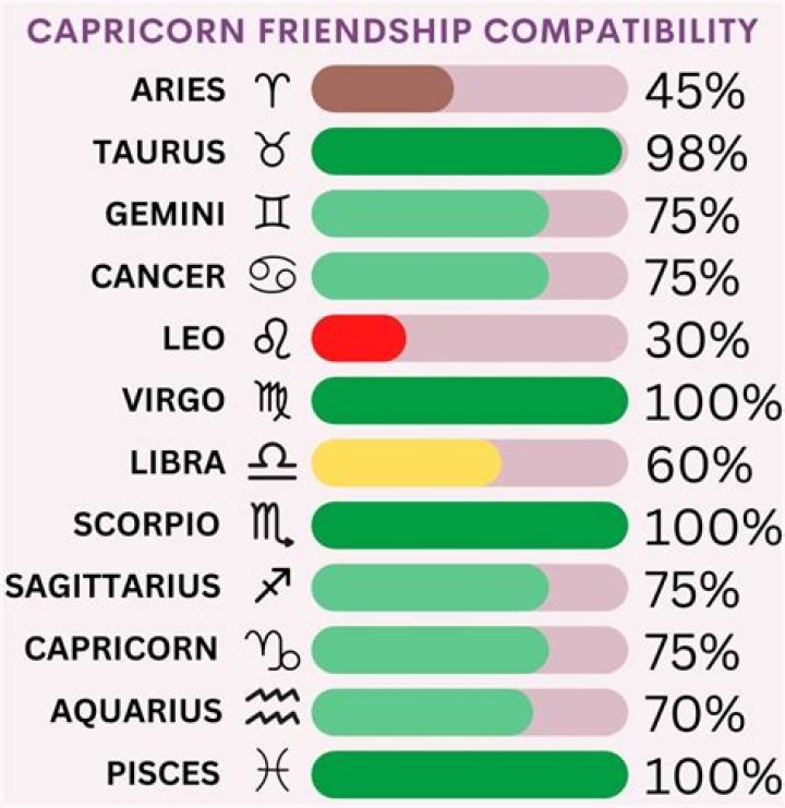 What is a Capricorn's best friend?