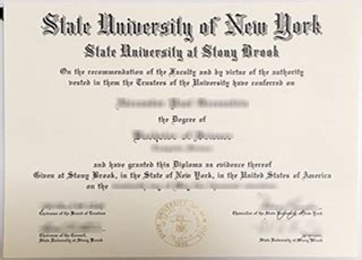 What is a degree in English called?