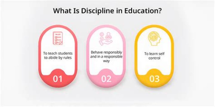 What is a discipline record in PE?