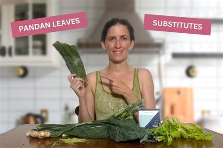 What is a good substitute for Drano?