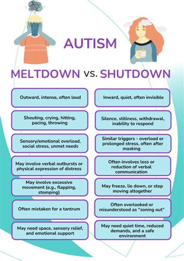 What is a meltdown autism?