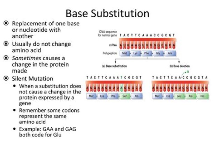 What is a missense substitution?