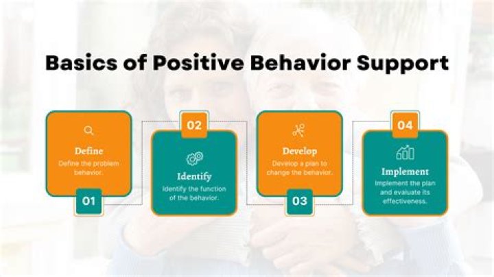 What is a positive behavior support system?