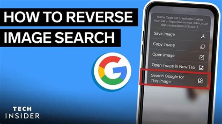 What is a reverse image google search?