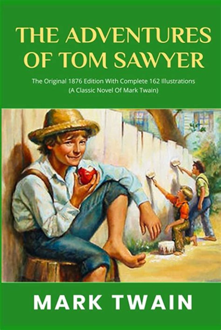 What is a sawyer in a river?