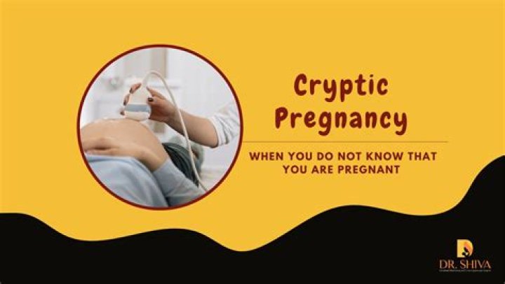 What is a stealth pregnancy?