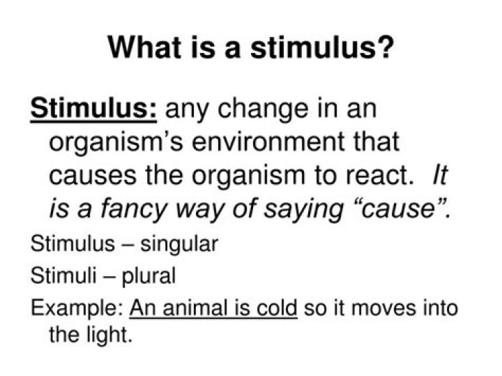 What is a stimulus question?