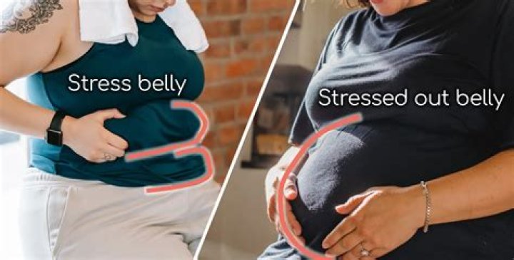 What is a stress belly?