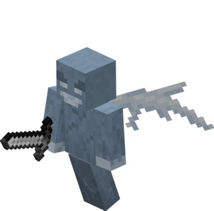 What is a VEX in Minecraft?