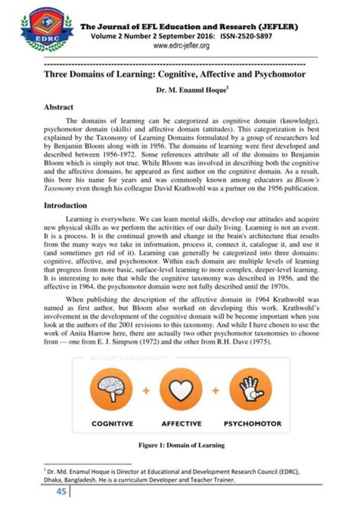 What is affective learning essay?