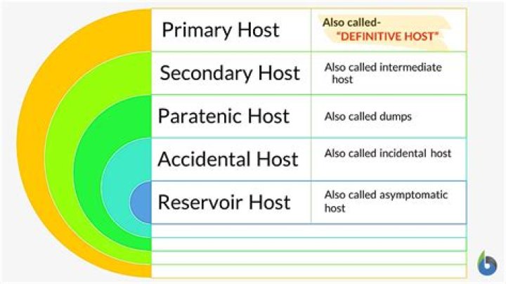 What is alternate host?