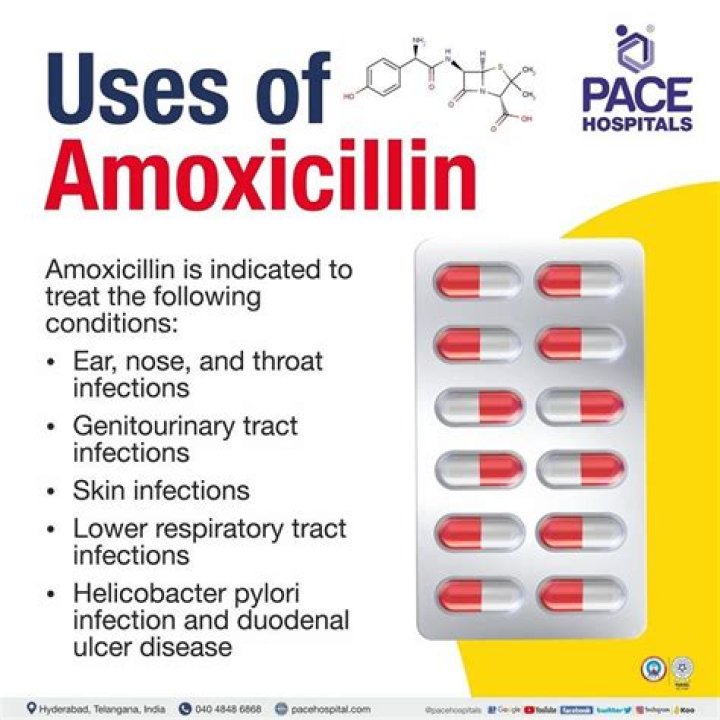 What is amoxicillin used to treat?