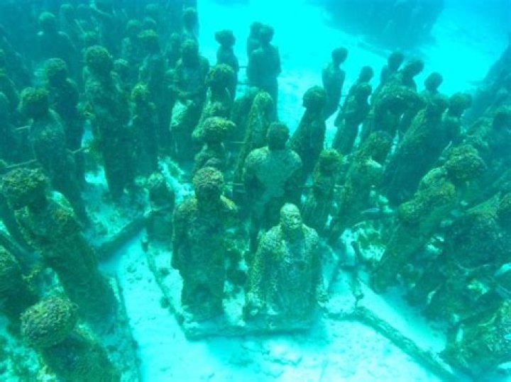 What is at the bottom of Lake Tahoe?