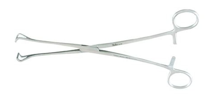 What is Babcock forceps?