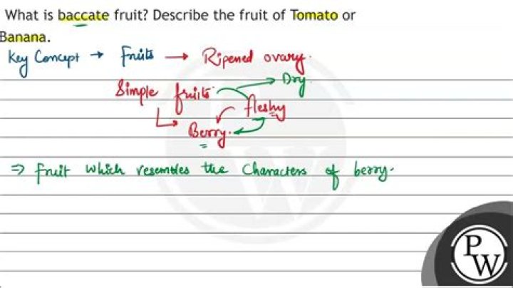 What is Baccate fruit?