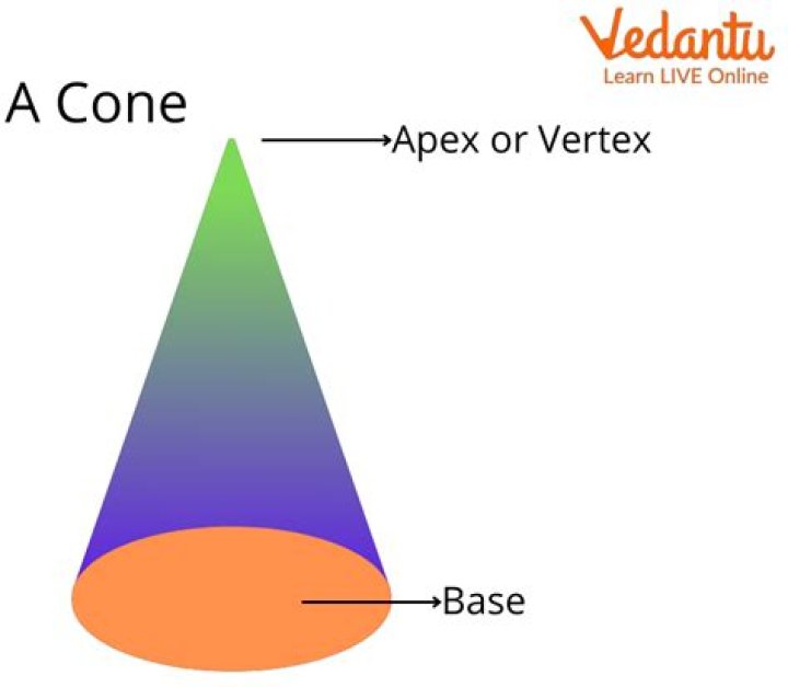 What is base of a cone?