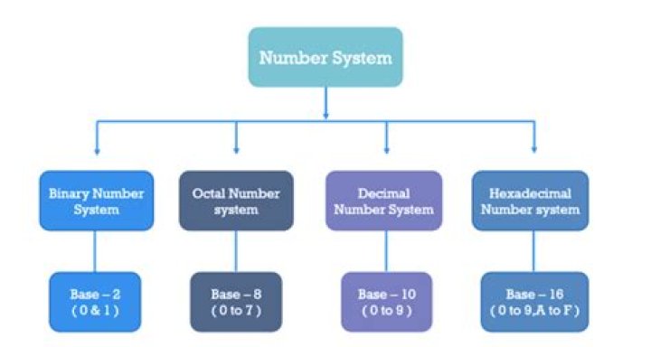 What is base or radix of a number system?
