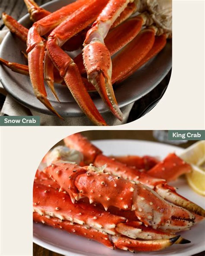 What is better snow crab or king crab?