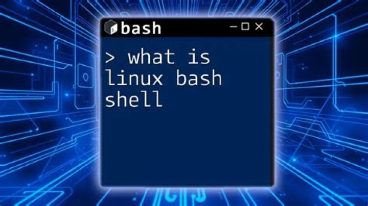 What is bin and bash in Linux?