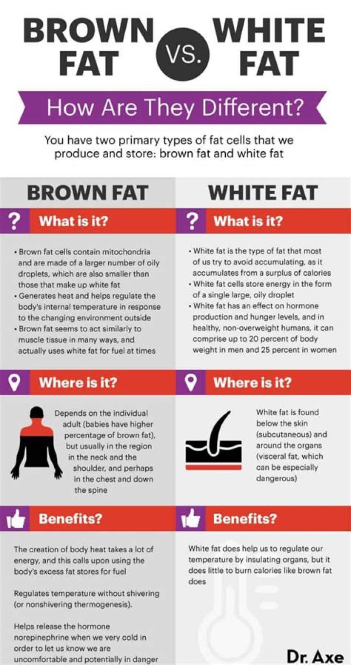 What is brown fat on a PET scan mean?