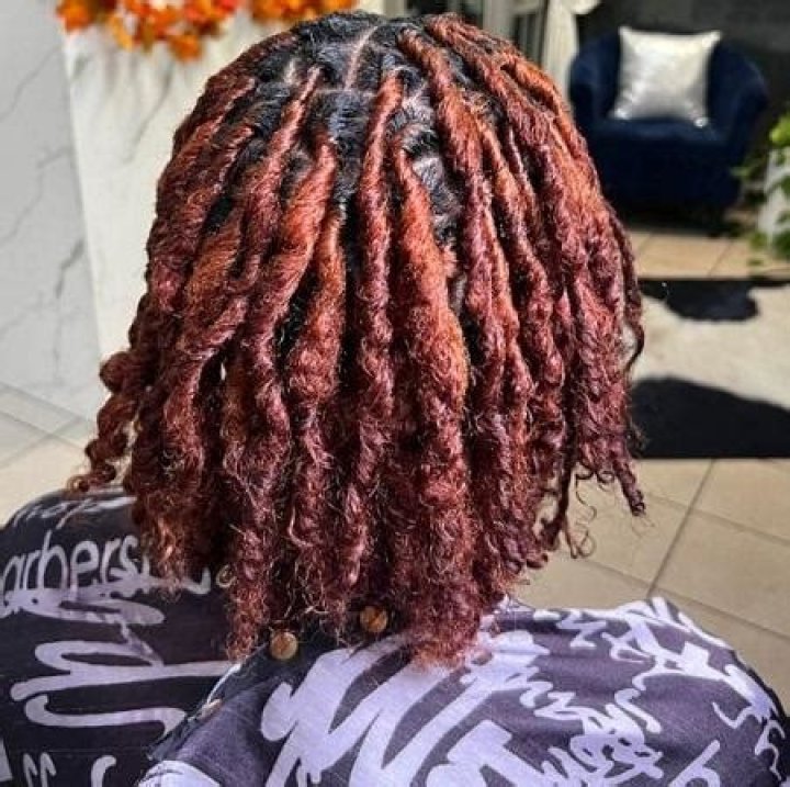 What is budding locs?