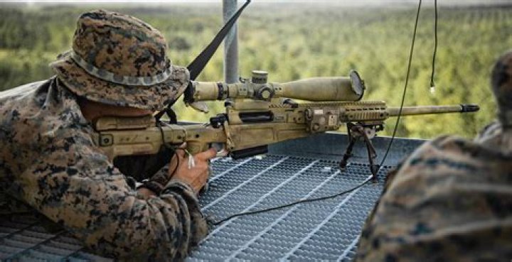 What is Canada's sniper rifle?