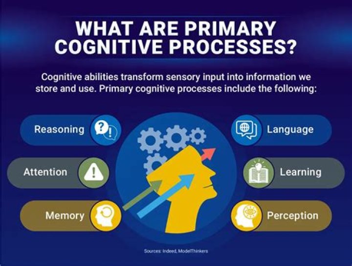 What is cognitive and conative?