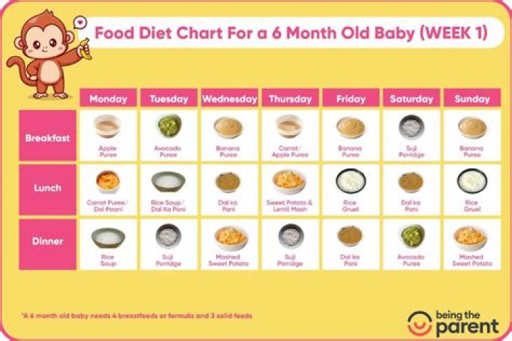 What is considered a meal for a 6 month old?