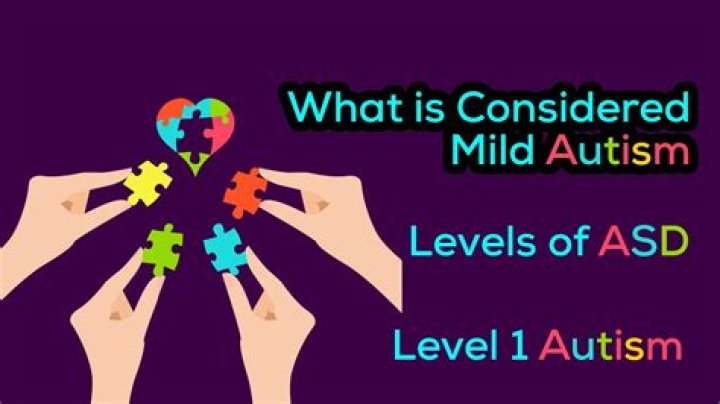 What is considered mild autism?