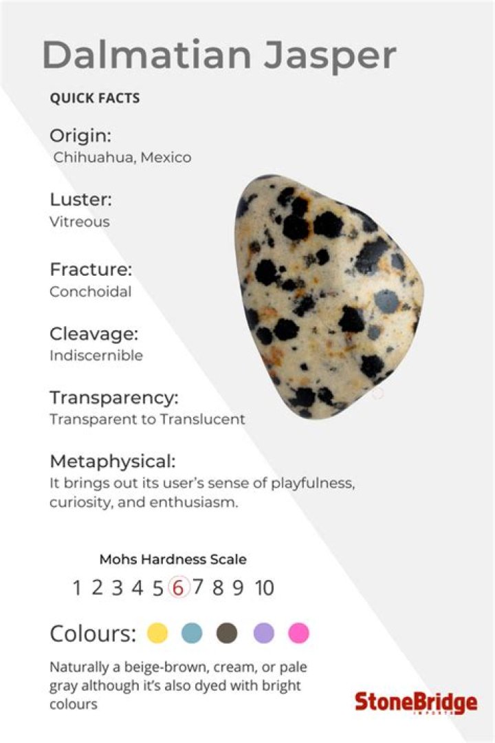 What is dalmatian jasper?