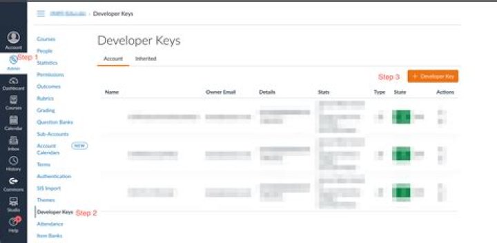 What is developer key in canvas?