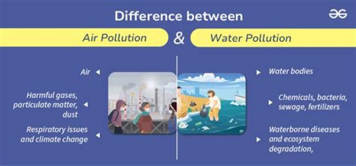 What is difference between pollution and pollutants give with example?