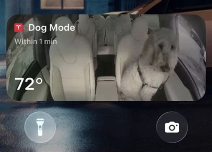 What is dog mode in a Tesla?