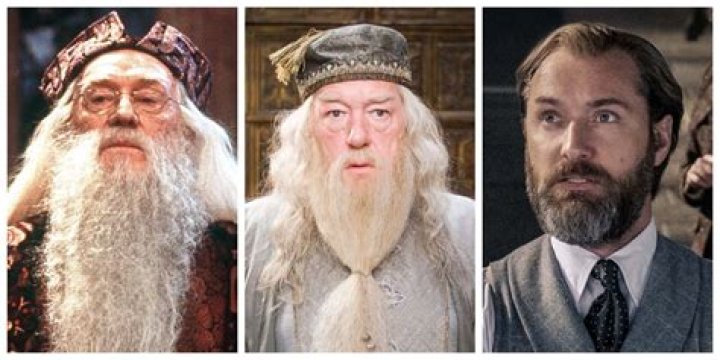 What is Dumbledore most famous for?