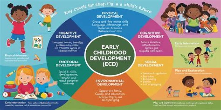 What is early childhood studies?