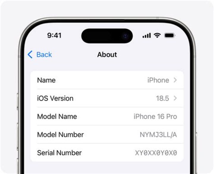What is Eid number on Apple phone?