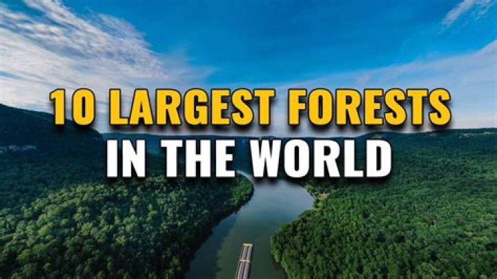 What is England's largest forest?