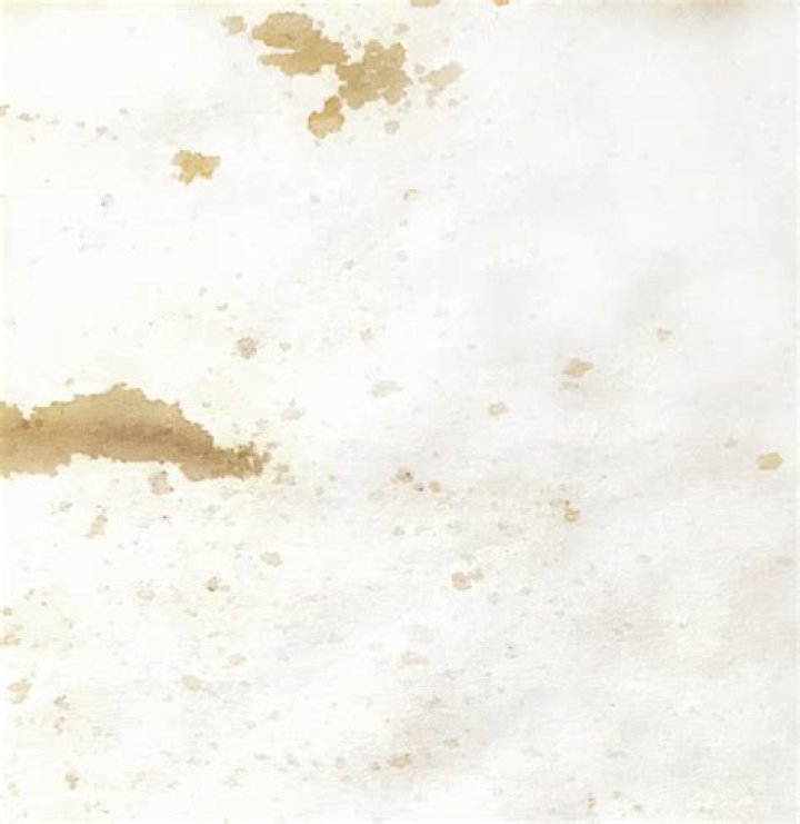 What is foxed paper?